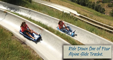 Alpine Slide